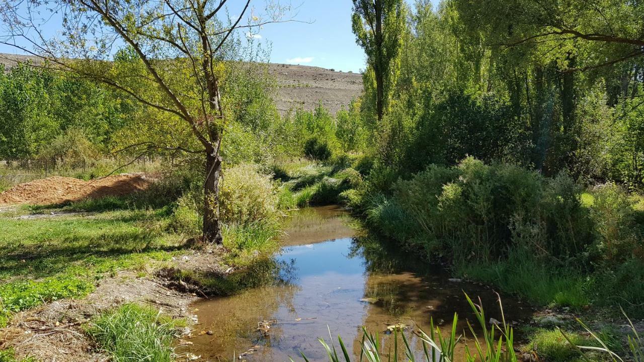 Casa Rural Los Yeros Aldeasona - Segovia المظهر الخارجي الصورة